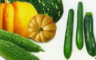 莘县在哪吃瓜,莘县特色瓜果美食之旅