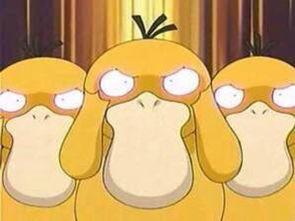 嘎嘎嘎吃大瓜,揭秘娱乐圈的甜蜜与苦涩