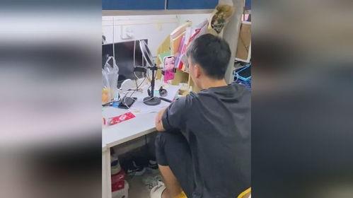 宿舍吃瓜完整视频,一场欢乐的视听盛宴