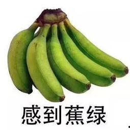 blue吃瓜视角,揭秘娱乐圈幕后真相