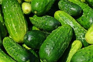 梦到了吃坏瓜,瓜果盛宴背后的神秘启示