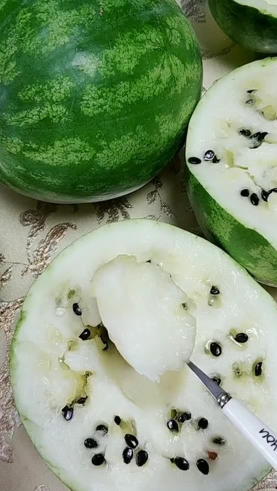 东北特色吃瓜场景,瓜香四溢，欢声笑语满园春