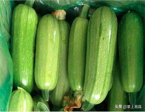 佛手瓜与西葫芦一起吃