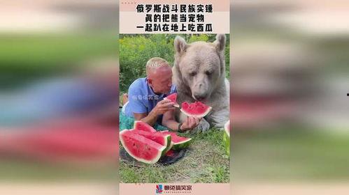 熊瓜怎样吃,探索美味与健康的完美结合