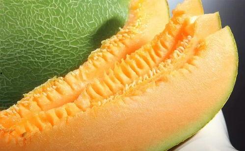 新疆蜜瓜几月份吃,新疆蜜瓜盛夏美味时节