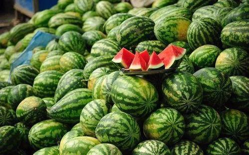 吃瓜爆料手受伤,吃瓜爆料手意外受伤，瓜友热议