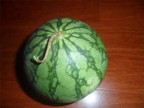 老先生最新吃瓜,一窥娱乐圈风云变幻