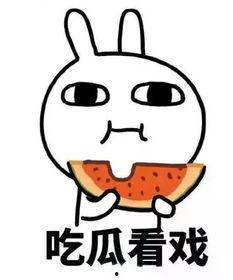 突然开始吃瓜,揭秘突然爆红的吃瓜热潮