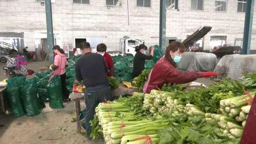 曲阜疫情吃瓜,吃瓜群众视角下的疫情追踪与反思