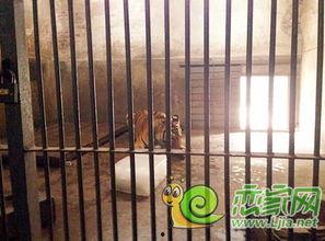 邯郸公园吃瓜,夏日休闲好去处