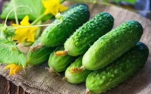 为什么春吃芽夏吃瓜,顺应时节的饮食智慧