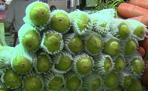 猫女郎吃葫芦瓜