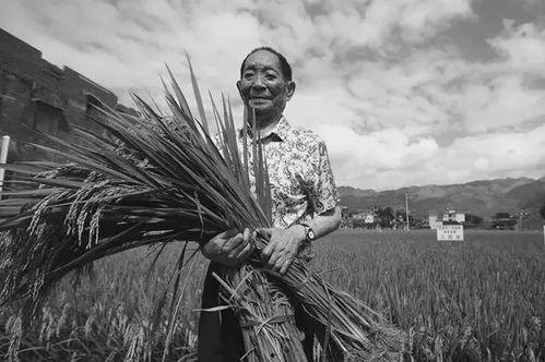 吃瓜袁隆平,吃瓜农夫的农业传奇