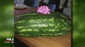 美国瓜在哪里吃