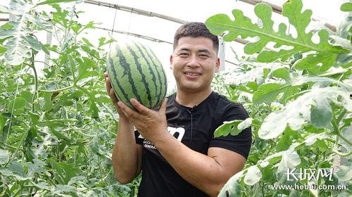 长城新媒体吃瓜,揭秘娱乐圈最新“吃瓜”事件