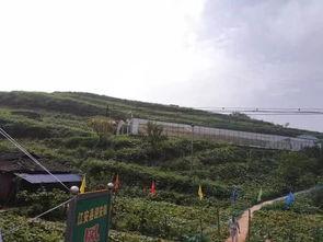 成都沿河公园吃瓜事件,一场引发热议的公共空间冲突