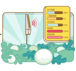 吃瓜回家知乎,网络热词背后的社会现象与心理解读