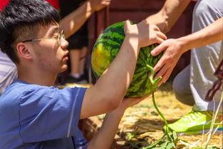 带你吃瓜仰泳鱼,带你领略“带你吃瓜仰泳鱼”的独特魅力