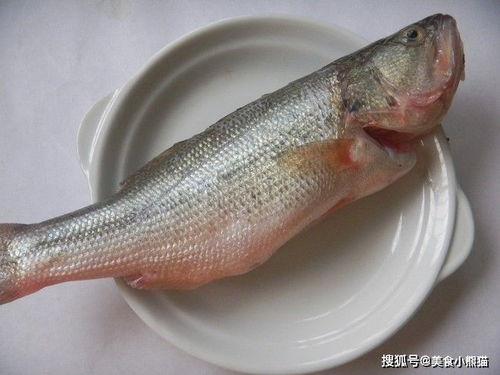 盐瓜鱼怎么煎着吃,家常美味煎鱼新体验