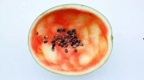 礼县吃瓜事件真相,真相与反思