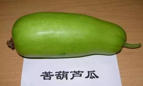 家瓜怎么吃,从家常到创意料理