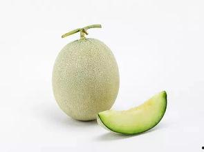 带着同事吃瓜,与同事共享的欢乐时光