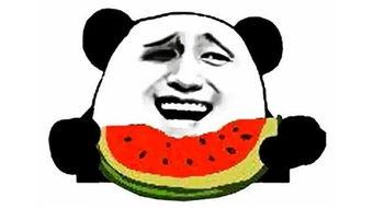 吃瓜群众幽默搞笑,那些让人捧腹的吃瓜瞬间