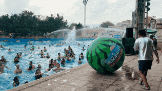 什么叫冲浪吃瓜,揭秘网络热点背后的真相与趣味