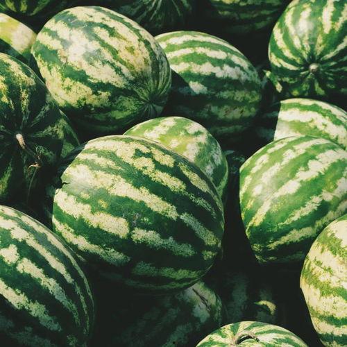 带伱吃瓜,带伱吃瓜之旅