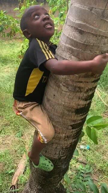 为了吃瓜爬到树上,一场别开生面的夏日奇遇 第3张 为了吃瓜爬到树上,一场别开生面的夏日奇遇 第3张