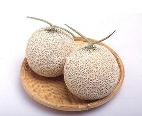 来月经吃哈密瓜会绝经吗,揭秘吃哈密瓜是否会引发绝经之谜” 第3张 来月经吃哈密瓜会绝经吗,揭秘吃哈密瓜是否会引发绝经之谜” 第3张