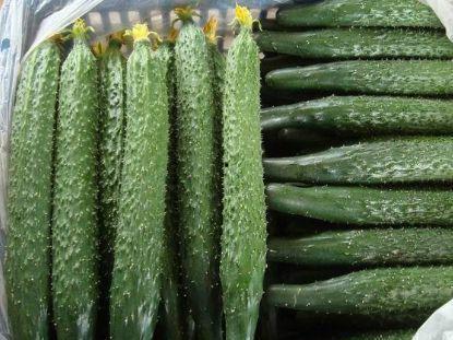 c吃瓜群,网络社交新现象背后的故事  第3张