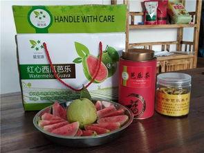 芭乐吃瓜视频,揭秘热门视频背后的故事与笑料  第2张