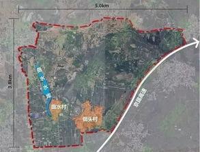 安新徐水吃瓜,一场别开生面的“吃瓜”盛宴  第2张