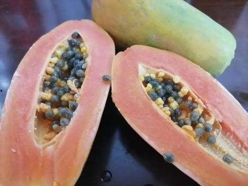 全线吃瓜,揭秘娱乐圈的幕后故事 第2张 全线吃瓜,揭秘娱乐圈的幕后故事 第2张