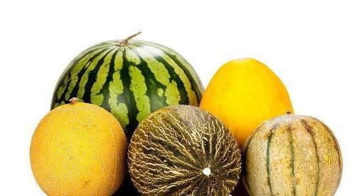 吃雷瓜有那些好处,揭秘吃雷瓜的五大益处  第2张