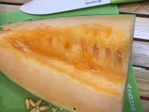 吃伽师瓜的好处,滋养身心，健康生活新选择  第3张
