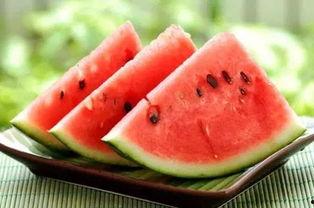 吃瓜的人本身就是瓜,你也是瓜吗? 第2张 吃瓜的人本身就是瓜,你也是瓜吗? 第2张