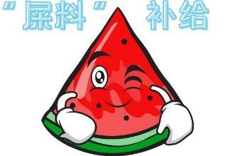 大型吵架吃瓜现场 第1张 大型吵架吃瓜现场 第1张