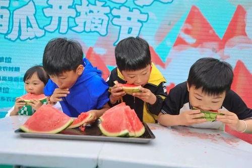 大型吵架吃瓜现场 第3张 大型吵架吃瓜现场 第3张