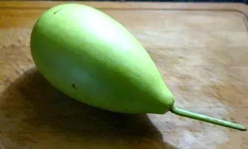 老人吃葫芦瓜晕倒,老人食用后不幸晕倒，警惕食品安全问题  第2张