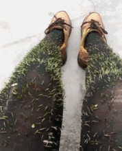 葛优吃瓜高清gif,笑料横生瞬间捕捉 第3张 葛优吃瓜高清gif,笑料横生瞬间捕捉 第3张