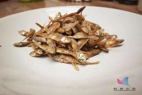 讨厌小鱼干吃瓜  第1张