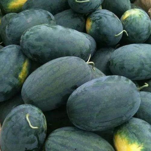 美国野王吃瓜,揭秘网络红人的争议与真相  第1张