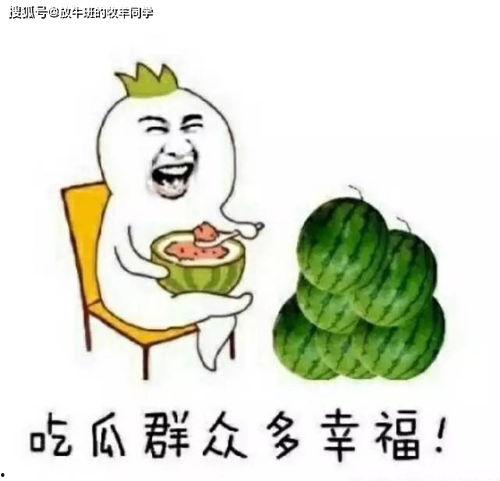 房间里吃瓜,揭秘房间里独特的吃瓜文化