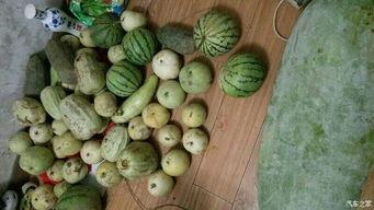 系统带我吃瓜短剧 第2张 系统带我吃瓜短剧 第2张