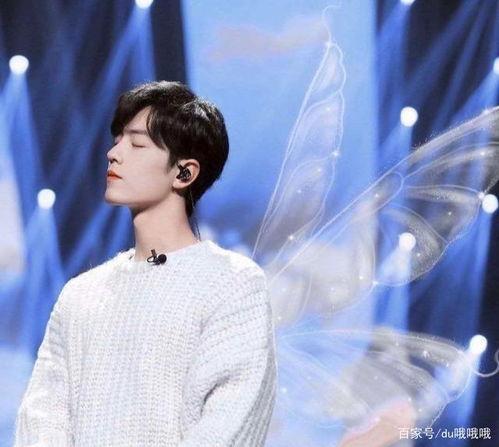 吃瓜肖战粉丝公益,瓜田里的爱心接力 第1张 吃瓜肖战粉丝公益,瓜田里的爱心接力 第1张