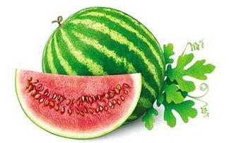 冬天可以吃卜瓜吗,冬季适宜食用卜瓜的养生之道