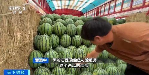 内师吃瓜,吃瓜群众揭秘校园热点事件  第1张