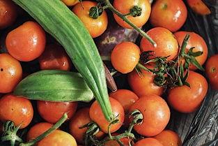 老头瓜棚吃瓜,老头瓜棚里的悠闲时光  第1张